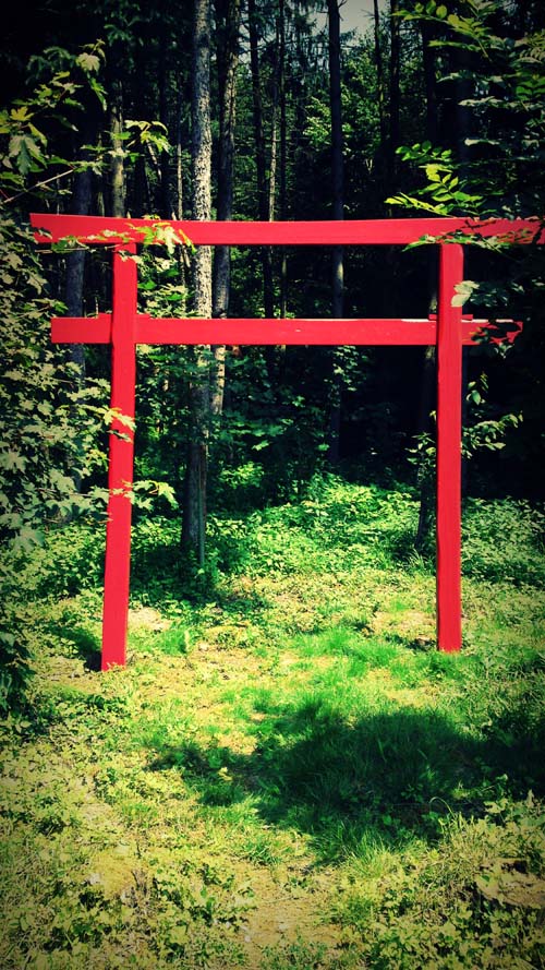 Torii-Wald