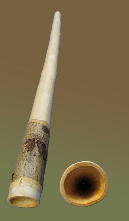 Didgeridoo1